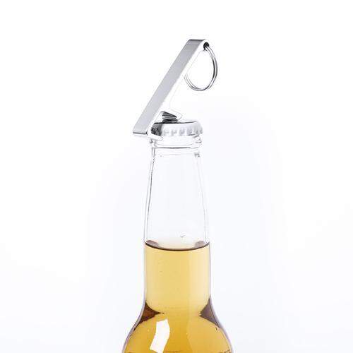 Multifunctionele sleutelhanger Delfis sample