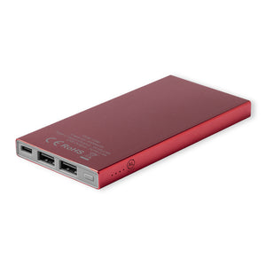 Powerbank Ginval zilver 1 kleur