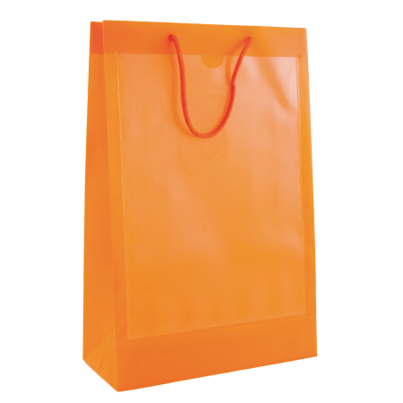 Transparante tas met 2 vensters A4  sample