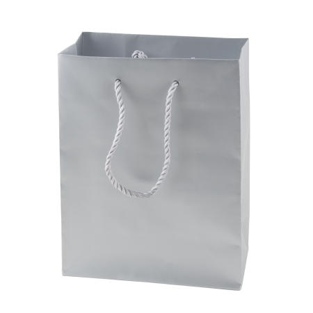Mat gelamineerde papieren tas 220x290x100 mm zilver en goud  sample