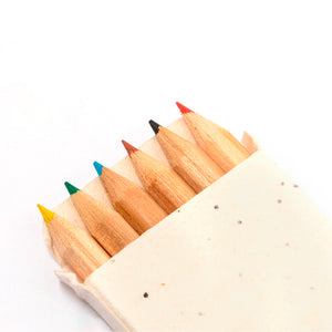 Zaadjes potlodenset Delar beige 2 kleuren