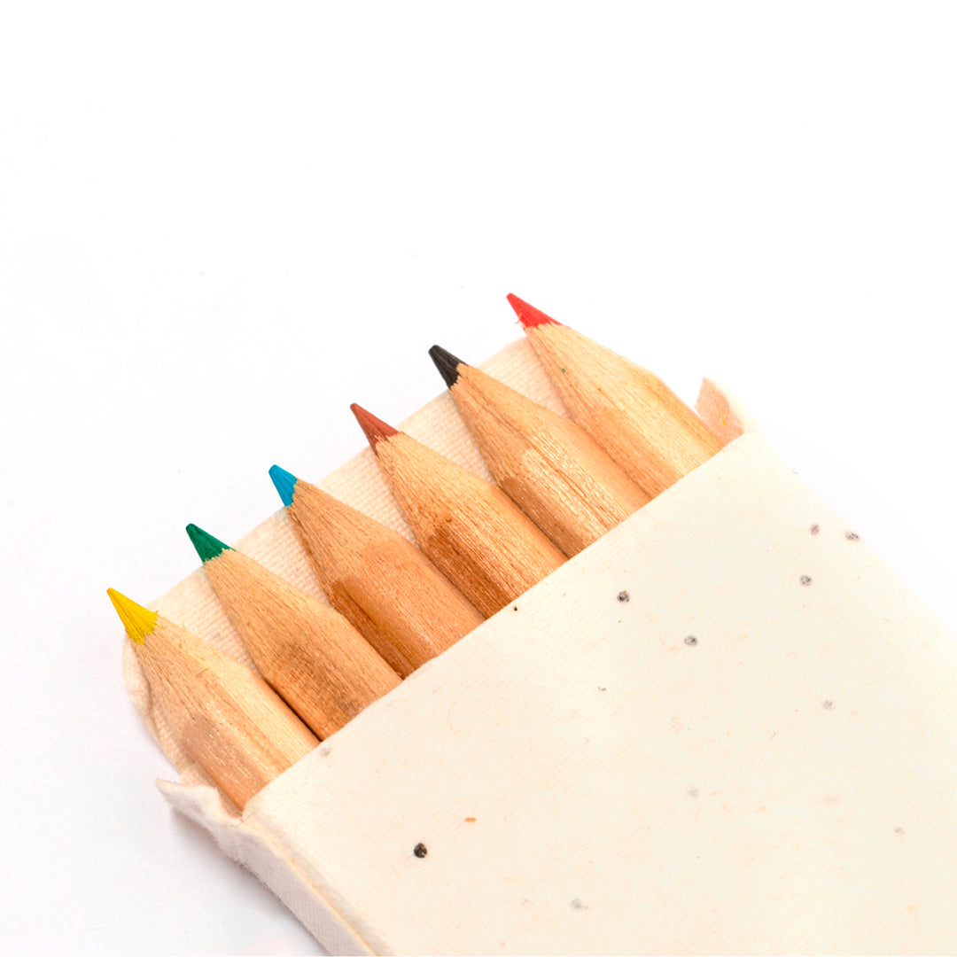 Zaadjes potlodenset Delar beige 2 kleuren