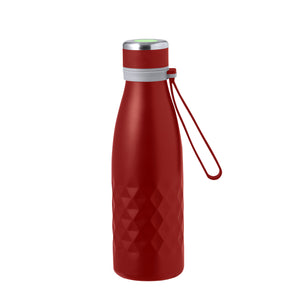 Geïsoleerde fles Hexor zilver 1 kleur