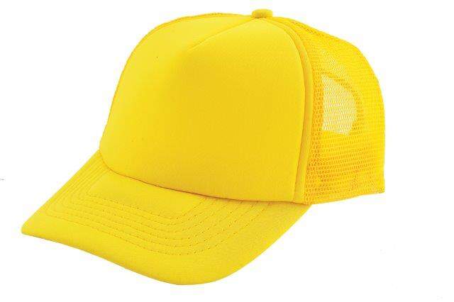 Cap trucker  sample