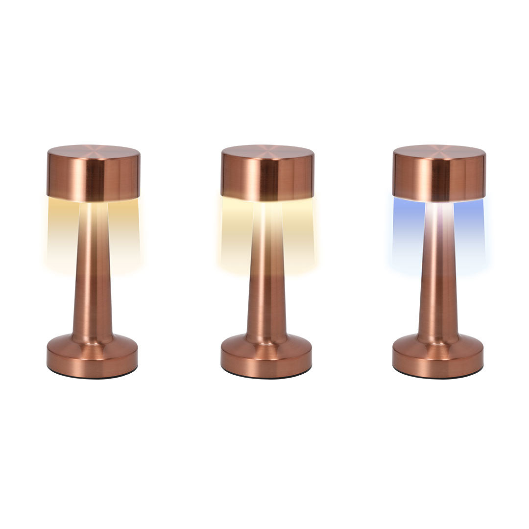 Multifunctionele lamp Rosity zilver 1 kleur