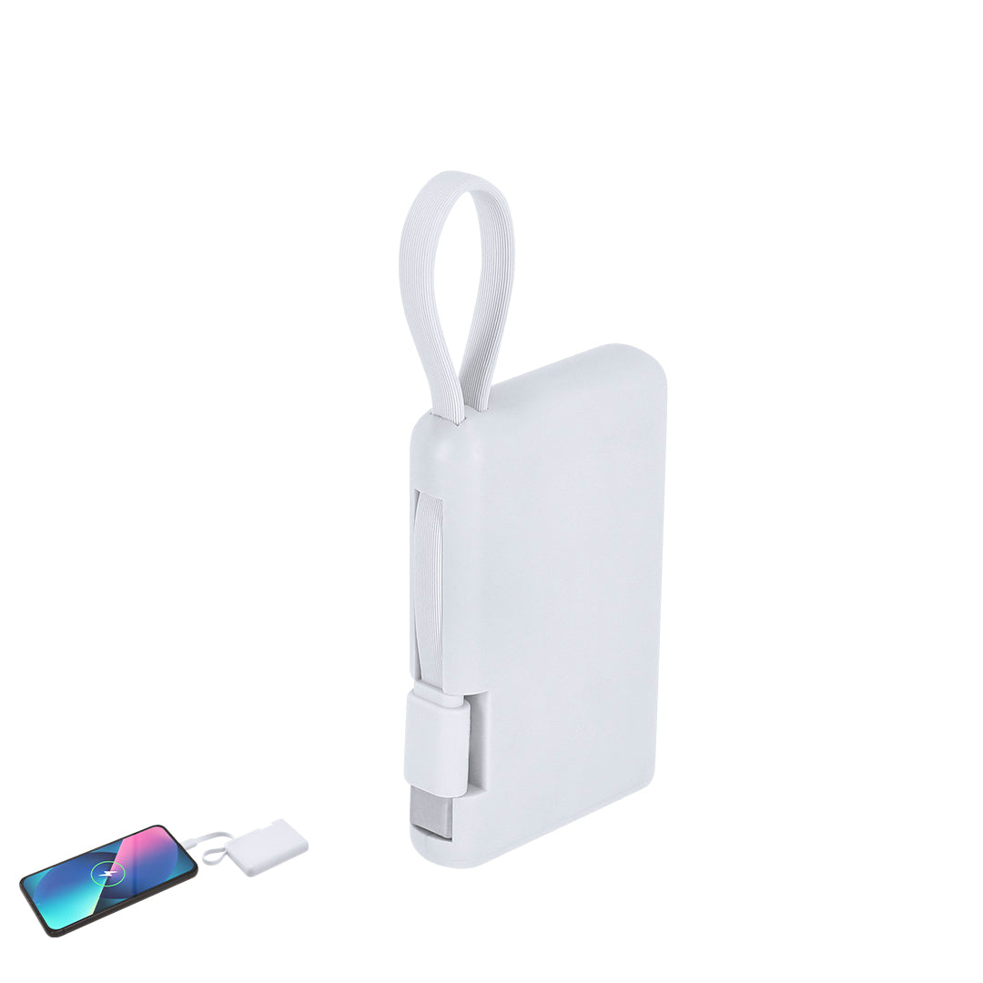 Power Bank Brandin bedrukken