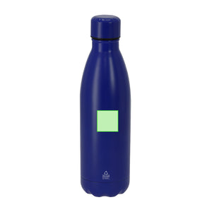 Geïsoleerde fles Xharly zilver 1 kleur