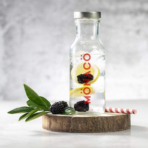 Fles Dinsak transparant onbedrukt 3839