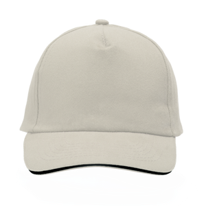 Cap 5 panel 2014