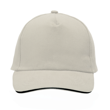 Cap 5 panel 2014