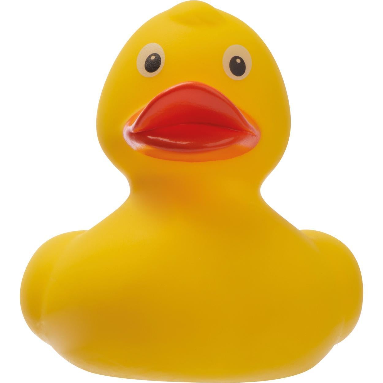 Badeend sample