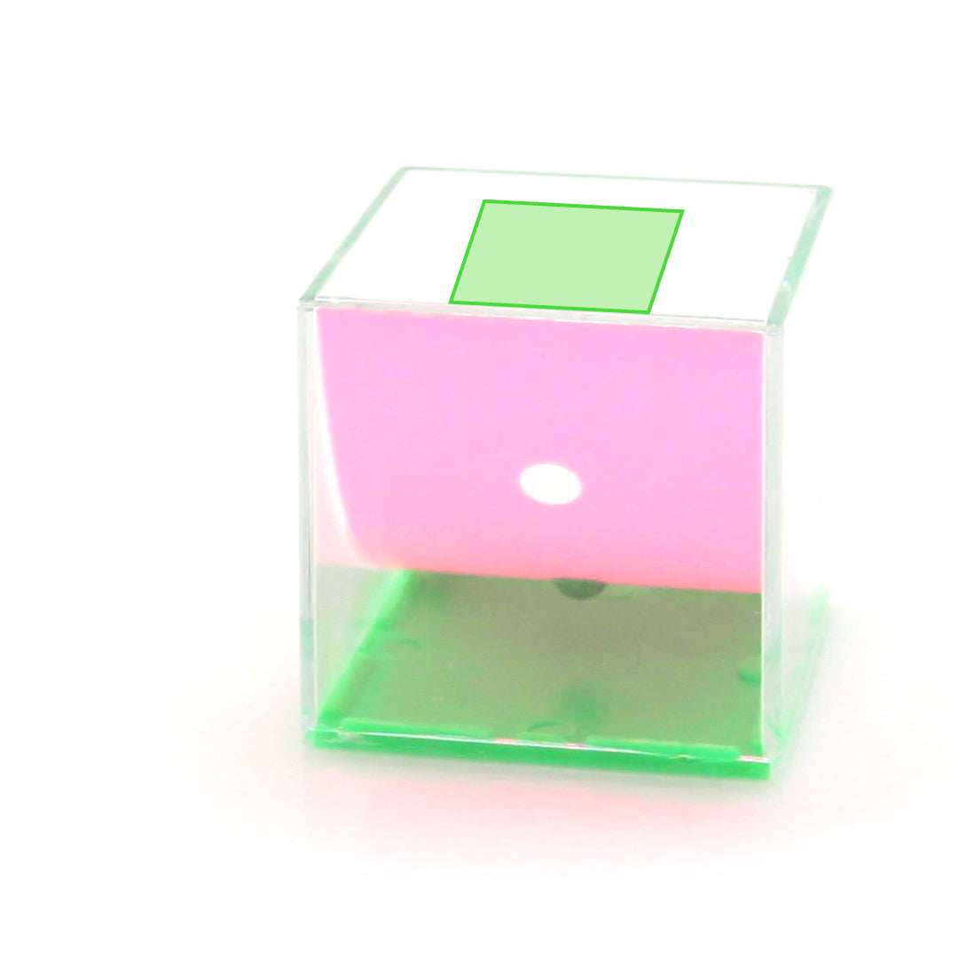 Vaardigheidsspellen Carlo transparant 2 kleuren
