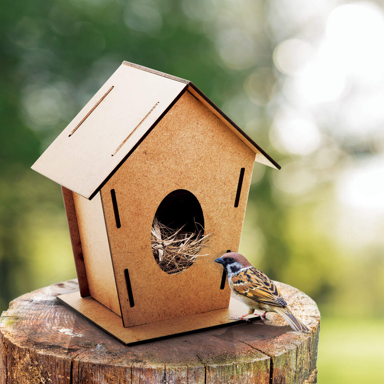 vogelhuisje Tomtit bedrukken