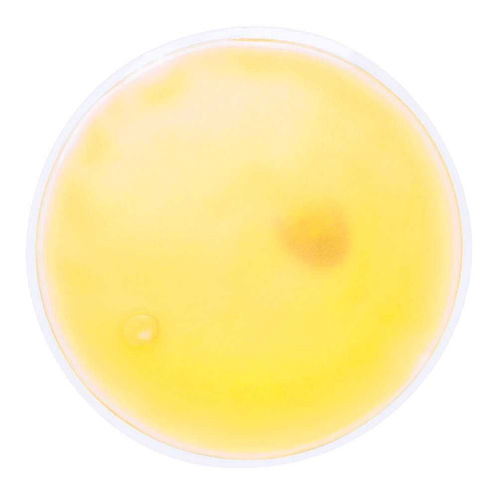 heat pack Kison  sample