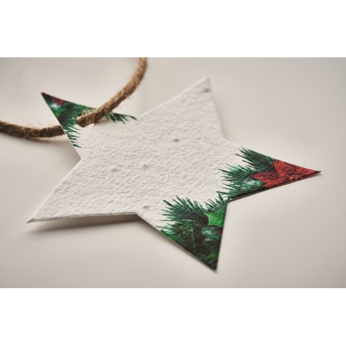 Zaadpapier kerstornament sample