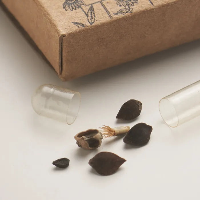 Mix bloemzaden schijf FLOMIX bedrukken
