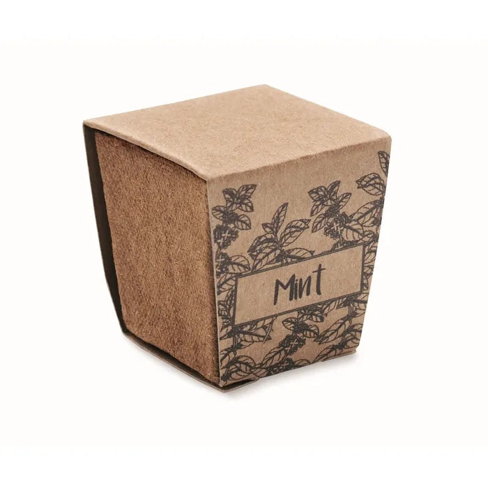 Muntzaad kweekset MINT KIT  4
