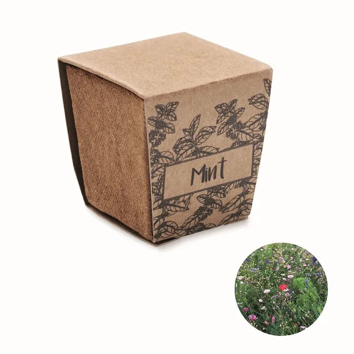 Muntzaad kweekset MINT KIT bedrukken