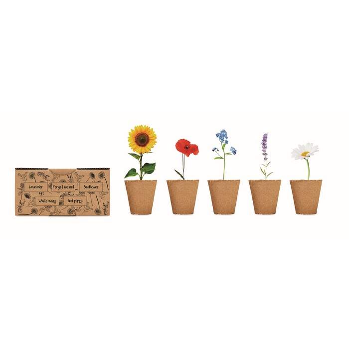 Bloemen kweekset FLOWERS sample