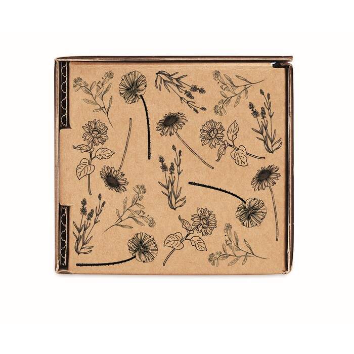 Bloemen kweekset FLOWERS 1601