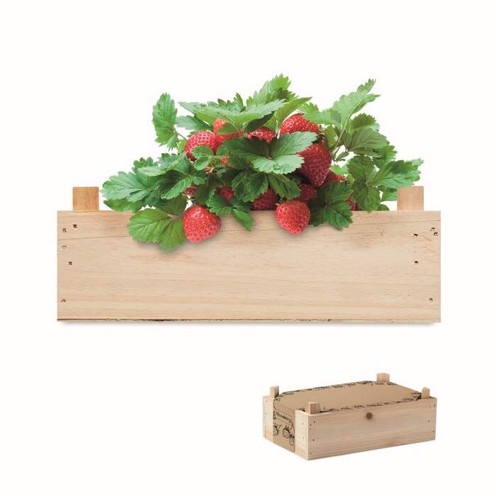 Aardbeienpakket in houten krat STRAWBERRY bedrukken