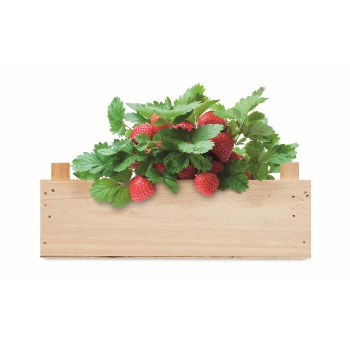 Aardbeienpakket in houten krat STRAWBERRY sample