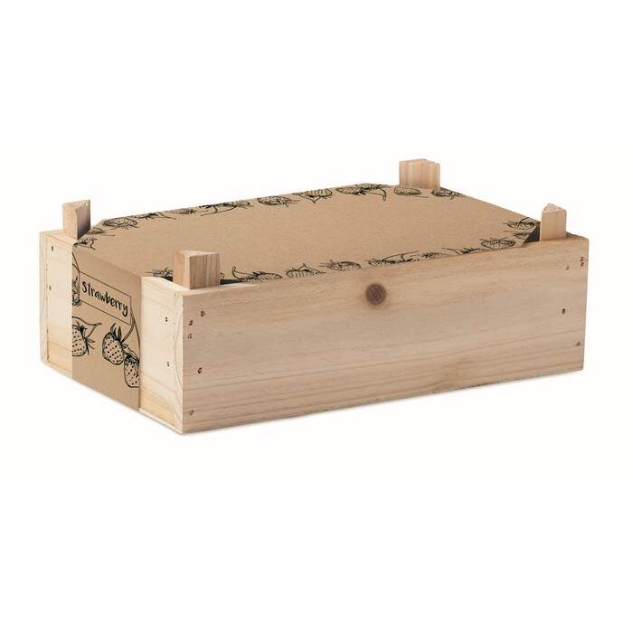 Aardbeienpakket in houten krat STRAWBERRY 490