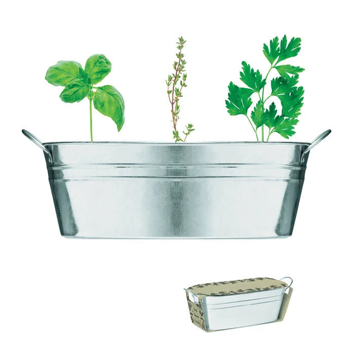 Zinken kuipje 3 zakjes MIX SEEDS sample